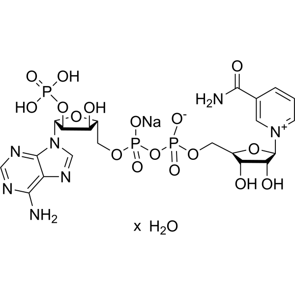 NADP sodium hydrate (β-nicotinamide adenine dinucleotide phosphate sodium salt hydrate) 698999-85-8